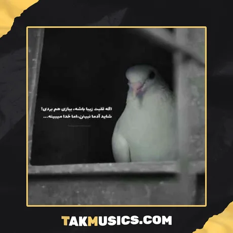 من که دودی نبودم از مهیار