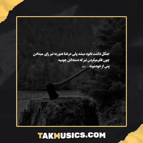 دوست داره دلم با تو کار داره دلم