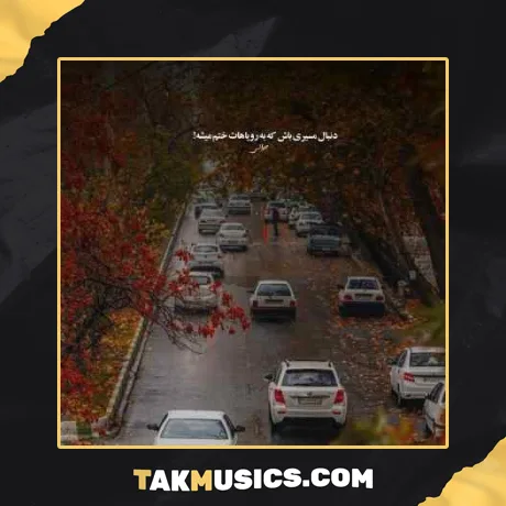 دلبر من تو عشق ناب منی مصطفی ابراهیمی