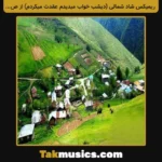 Unknown Artist-Dishab Khab Mididam Aghdet Mikardam