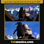 Unknown Artist-Jay Baraye Yek Nafar Darad Delam An Ham Toei
