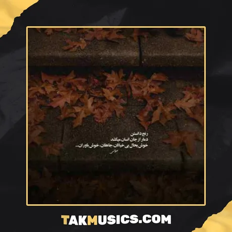مرد من باش مرد خونه مرد عشق و عاشقونه