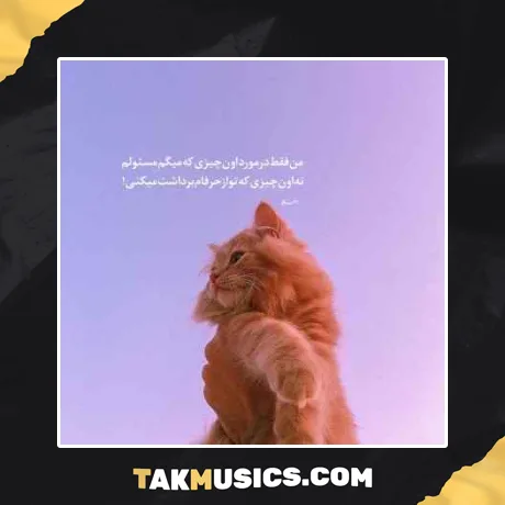 تو از چرخش یک رقص بیژن مرتضوی