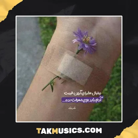 رفتی و بی تو دلم پر درده از صادق دری