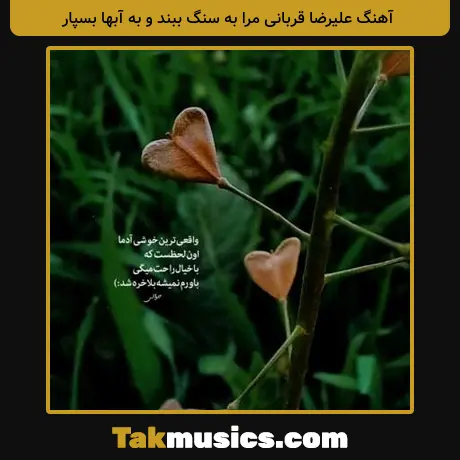 علیرضا قربانی مرا به سنگ ببند و به آبها بسپار
