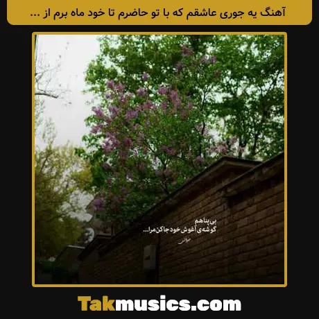 ﻳﻪ ﺟﻮری ﻋﺎﺷﻘﻢ ﻛﻪ ﺑﺎ ﺗﻮ ﺣﺎﺿﺮم ﺗﺎ ﺧﻮد ﻣﺎه ﺑﺮم از دکاموند