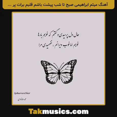 میثم ابراهیمی صبح تا شب پیشت باشم قلبم برات پر میزنه