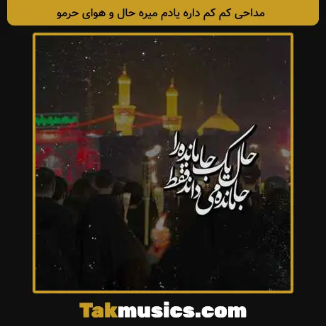 کم کم داره یادم میره حال و هوای حرمو