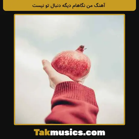 من نگاهام دیگه دنبال تو نیست