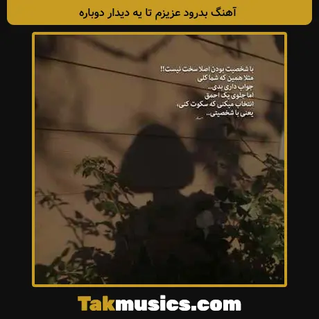 بدرود عزیزم تا یه دیدار دوباره