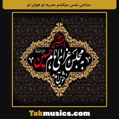 نفس میکشم عمریه تو هوای تو