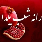 یارانه یلدایی دولت به این افراد رسید | یارانه معیشتی 3 میلیون تومانی برای این افراد واریز شد