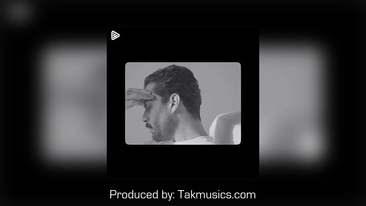 دانلود آهنگ حامیم به نام بی رنگ